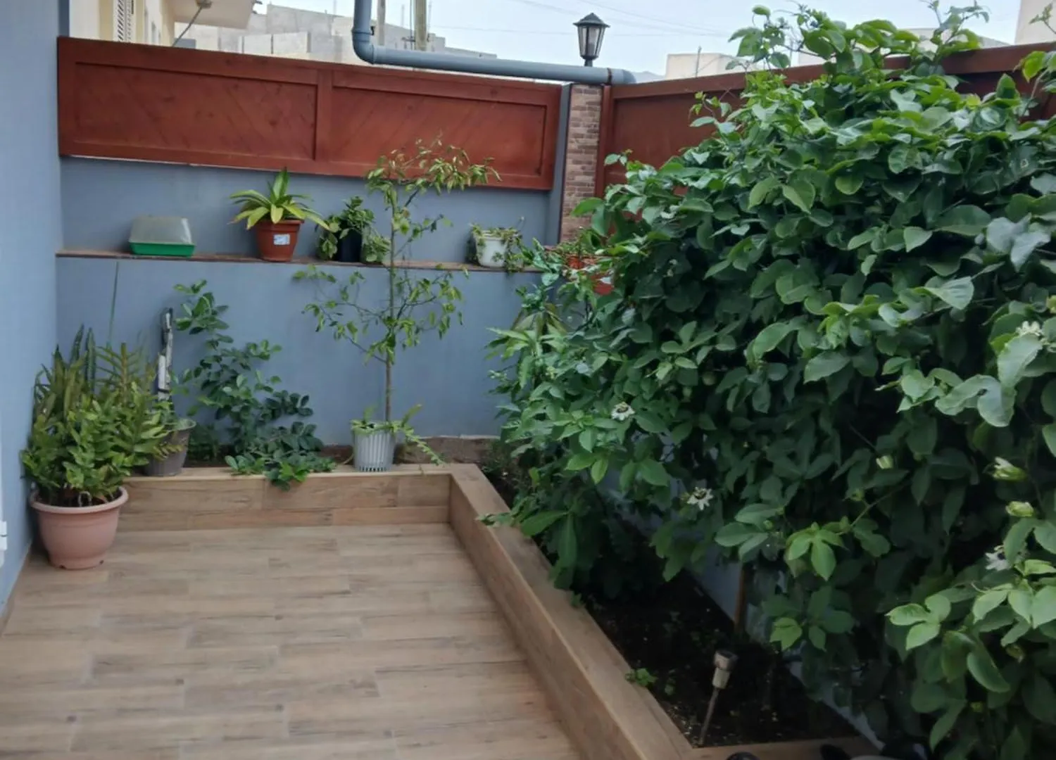 Hotel Nifa House Espargos Kap Verde